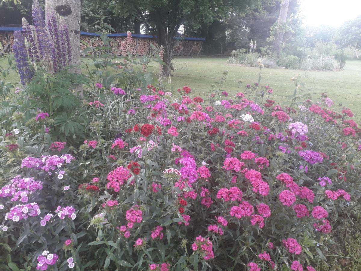 B&B Buddleja Saint-Hilaire-les-Places Eksteriør bilde