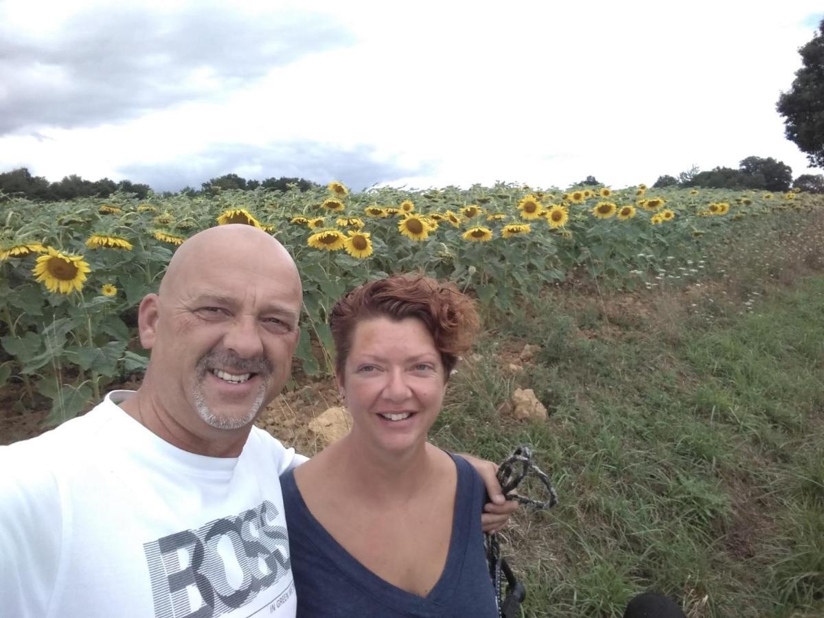 B&B Buddleja Saint-Hilaire-les-Places Eksteriør bilde